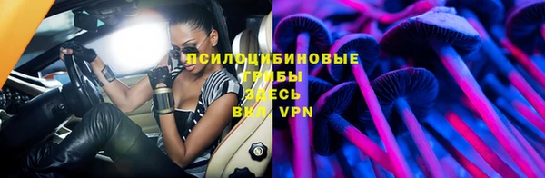 ПСИЛОЦИБИНОВЫЕ ГРИБЫ Алексеевка