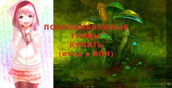 герыч Алексин
