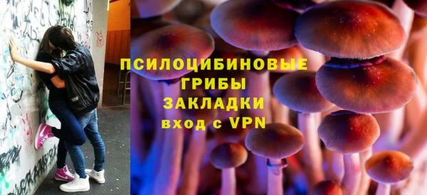 герыч Алексин