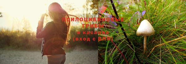 ГАЛЛЮЦИНОГЕННЫЕ ГРИБЫ Липки